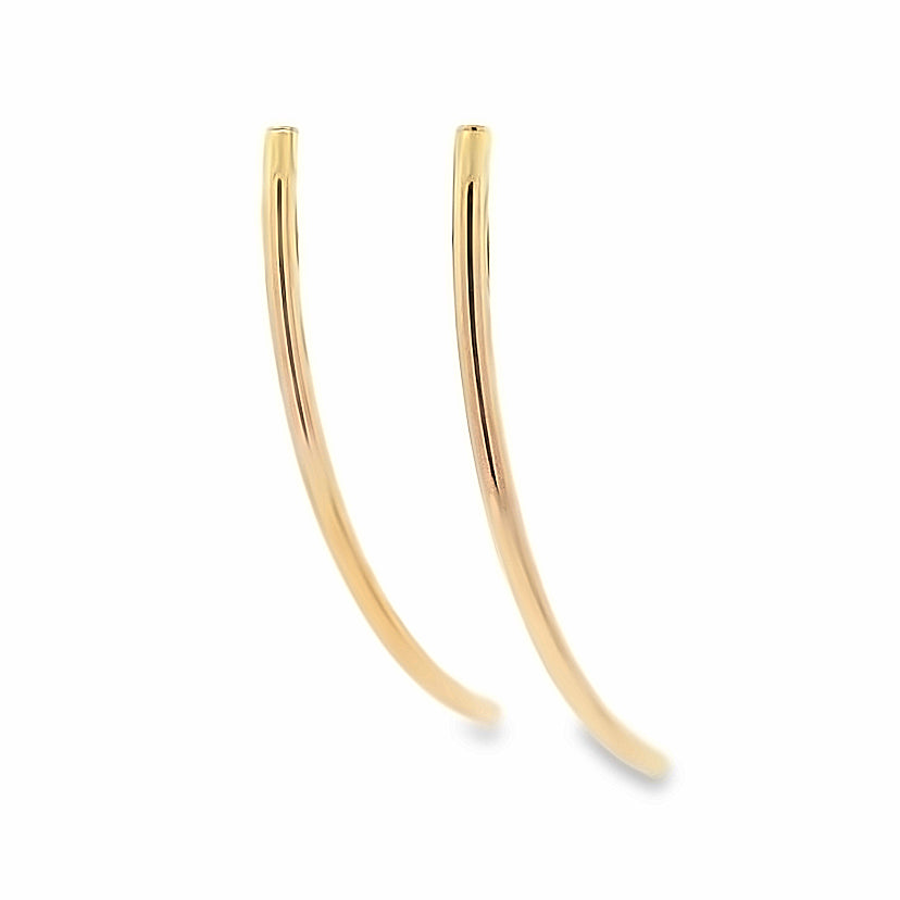 Golden Whisper Twig Earrings