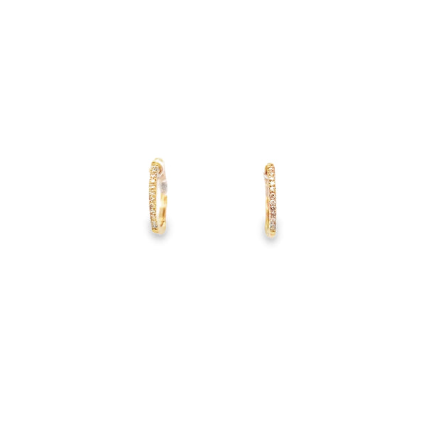 Diamond Small gold Huggies