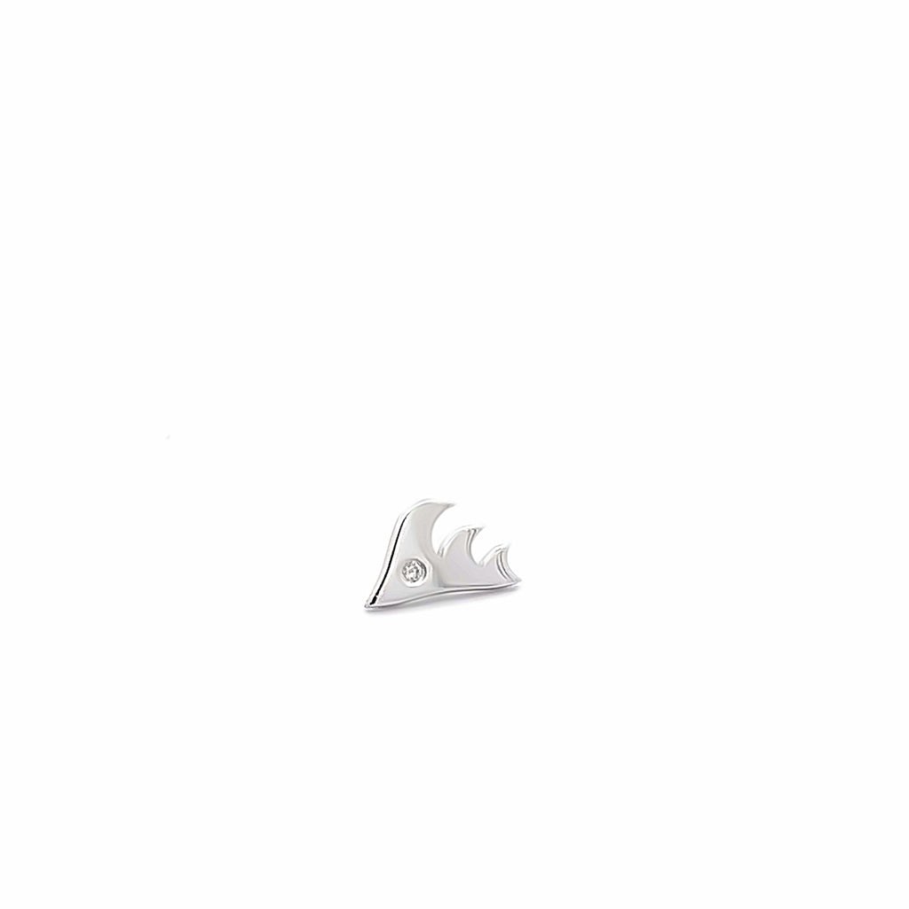 silver wave 160__2023-08-24-15-35-28.jpg